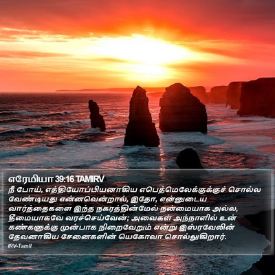 எரேமியா 39:16 TAMIRV Bible Verse Image