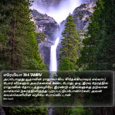 எரேமியா 39:4 TAMIRV Bible Verse Image