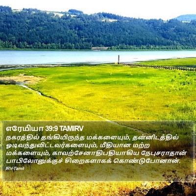 எரேமியா 39:9 TAMIRV Bible Verse Image
