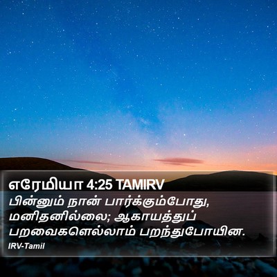 எரேமியா 4:25 TAMIRV Bible Verse Image