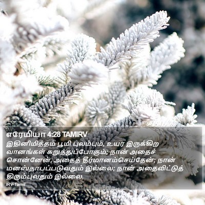 எரேமியா 4:28 TAMIRV Bible Verse Image