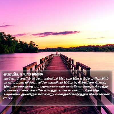 எரேமியா 40:10 TAMIRV Bible Verse Image