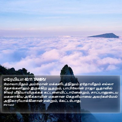 எரேமியா 40:11 TAMIRV Bible Verse Image
