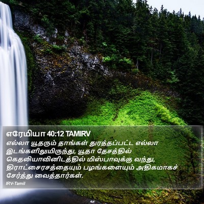 எரேமியா 40:12 TAMIRV Bible Verse Image