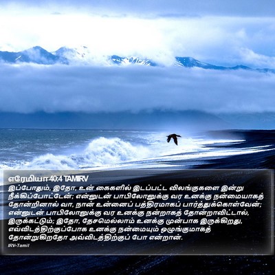 எரேமியா 40:4 TAMIRV Bible Verse Image