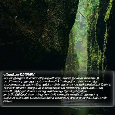 எரேமியா 40:5 TAMIRV Bible Verse Image