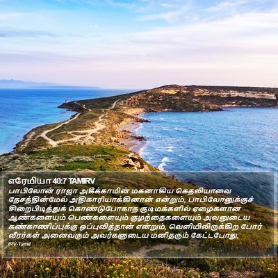 எரேமியா 40:7 TAMIRV Bible Verse Image