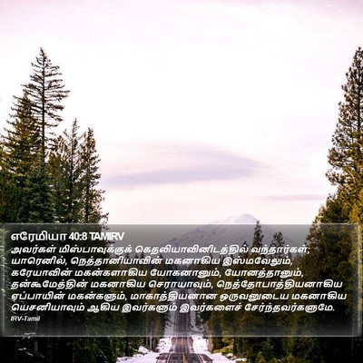 எரேமியா 40:8 TAMIRV Bible Verse Image