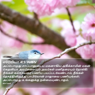எரேமியா 40:9 TAMIRV Bible Verse Image