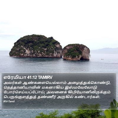 எரேமியா 41:12 TAMIRV Bible Verse Image