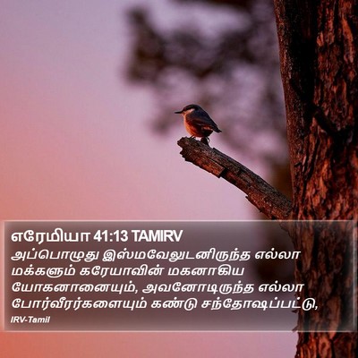 எரேமியா 41:13 TAMIRV Bible Verse Image