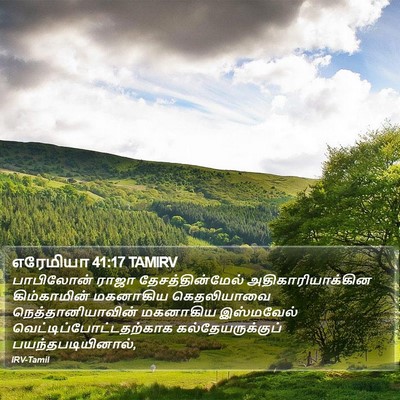 எரேமியா 41:17 TAMIRV Bible Verse Image