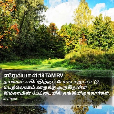 எரேமியா 41:18 TAMIRV Bible Verse Image