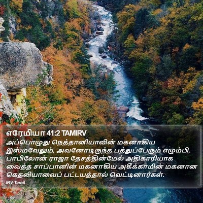 எரேமியா 41:2 TAMIRV Bible Verse Image