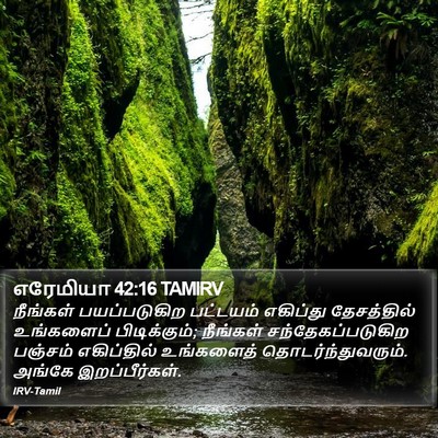 எரேமியா 42:16 TAMIRV Bible Verse Image