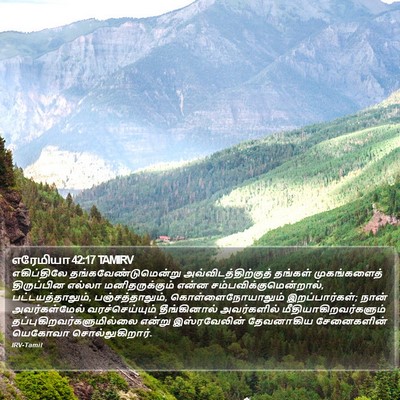 எரேமியா 42:17 TAMIRV Bible Verse Image