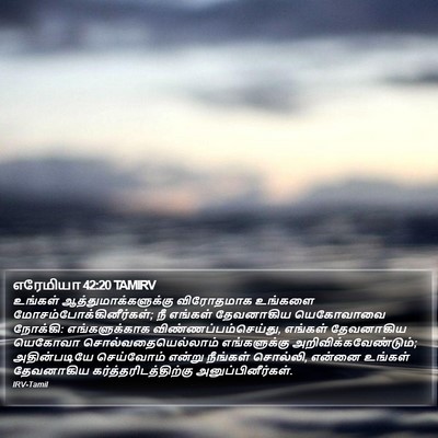எரேமியா 42:20 TAMIRV Bible Verse Image