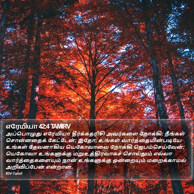 எரேமியா 42:4 TAMIRV Bible Verse Image