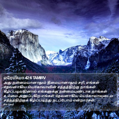 எரேமியா 42:6 TAMIRV Bible Verse Image