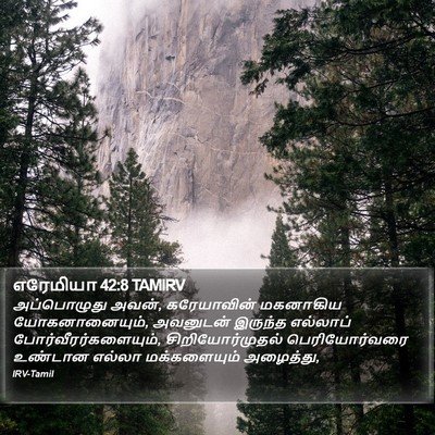 எரேமியா 42:8 TAMIRV Bible Verse Image