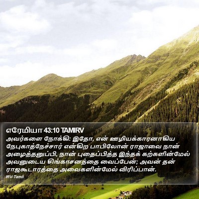எரேமியா 43:10 TAMIRV Bible Verse Image