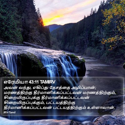 எரேமியா 43:11 TAMIRV Bible Verse Image