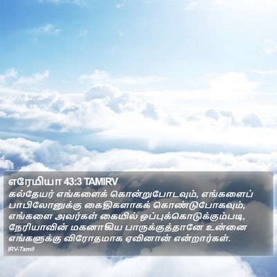 எரேமியா 43:3 TAMIRV Bible Verse Image