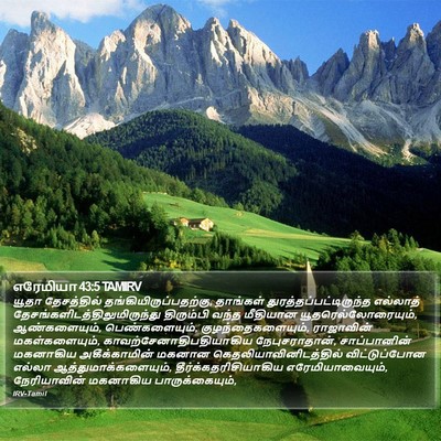 எரேமியா 43:5 TAMIRV Bible Verse Image