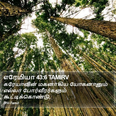 எரேமியா 43:6 TAMIRV Bible Verse Image