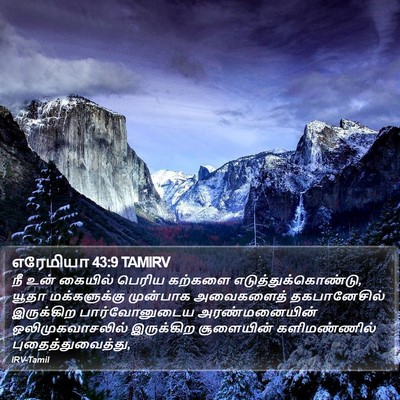 எரேமியா 43:9 TAMIRV Bible Verse Image