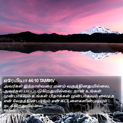 எரேமியா 44:10 TAMIRV Bible Verse Image