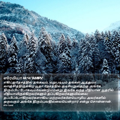எரேமியா 44:14 TAMIRV Bible Verse Image