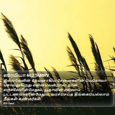 எரேமியா 44:2 TAMIRV Bible Verse Image