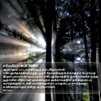 எரேமியா 44:28 TAMIRV Bible Verse Image