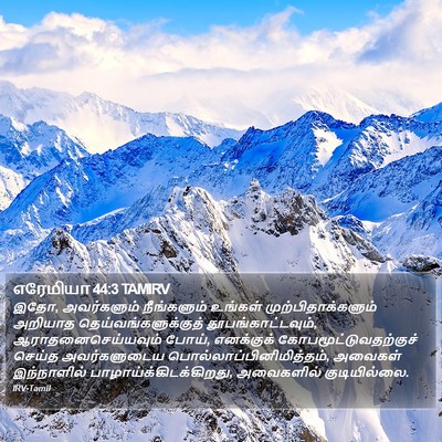 எரேமியா 44:3 TAMIRV Bible Verse Image