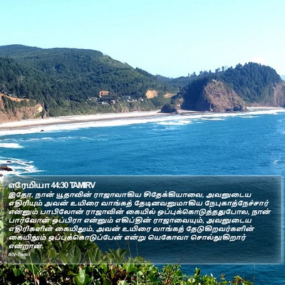 எரேமியா 44:30 TAMIRV Bible Verse Image