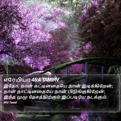 எரேமியா 45:4 TAMIRV Bible Verse Image