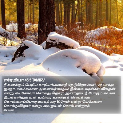 எரேமியா 45:5 TAMIRV Bible Verse Image