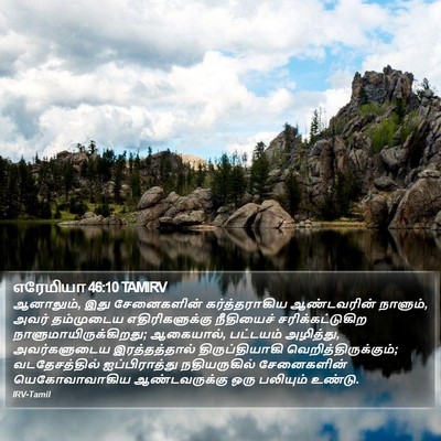 எரேமியா 46:10 TAMIRV Bible Verse Image