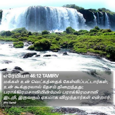 எரேமியா 46:12 TAMIRV Bible Verse Image