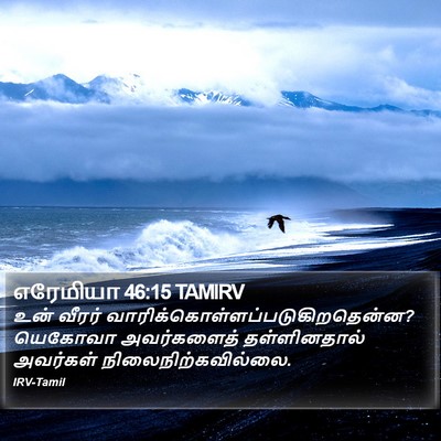 எரேமியா 46:15 TAMIRV Bible Verse Image