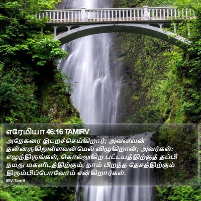 எரேமியா 46:16 TAMIRV Bible Verse Image