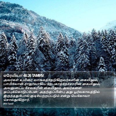 எரேமியா 46:26 TAMIRV Bible Verse Image