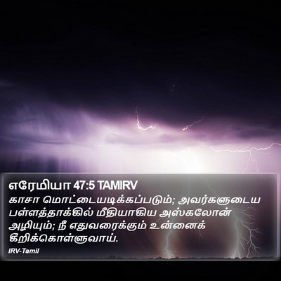 எரேமியா 47:5 TAMIRV Bible Verse Image