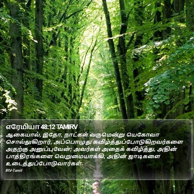 எரேமியா 48:12 TAMIRV Bible Verse Image