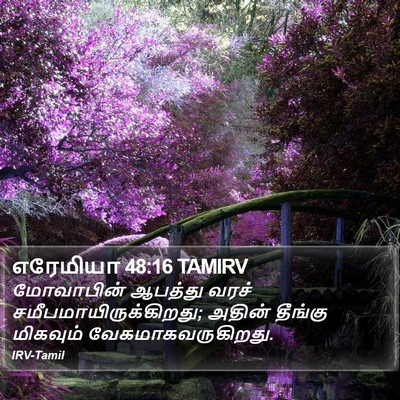 எரேமியா 48:16 TAMIRV Bible Verse Image
