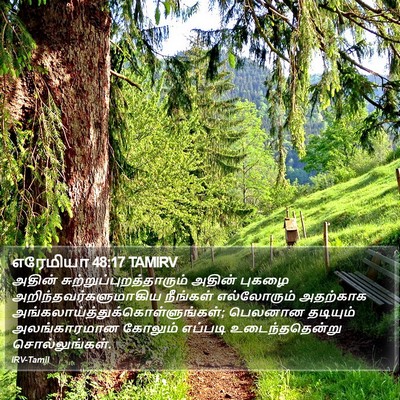 எரேமியா 48:17 TAMIRV Bible Verse Image