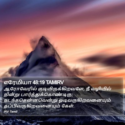 எரேமியா 48:19 TAMIRV Bible Verse Image