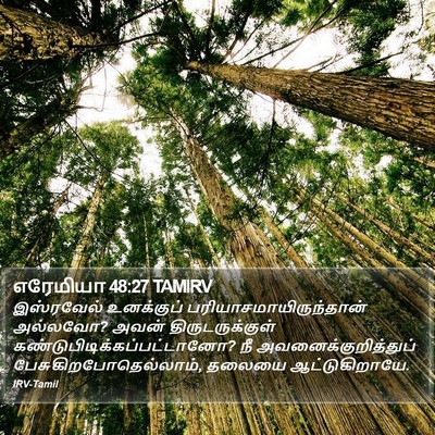 எரேமியா 48:27 TAMIRV Bible Verse Image