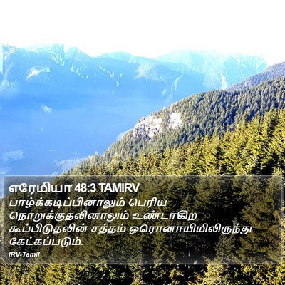 எரேமியா 48:3 TAMIRV Bible Verse Image